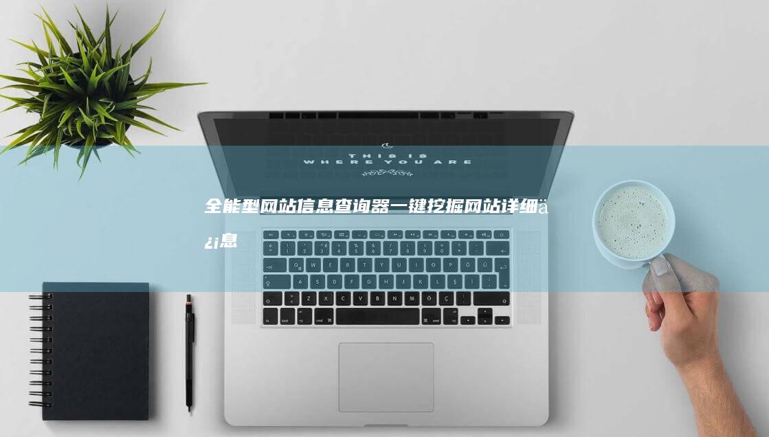 全能型网站信息查询器：一键挖掘网站详细信息